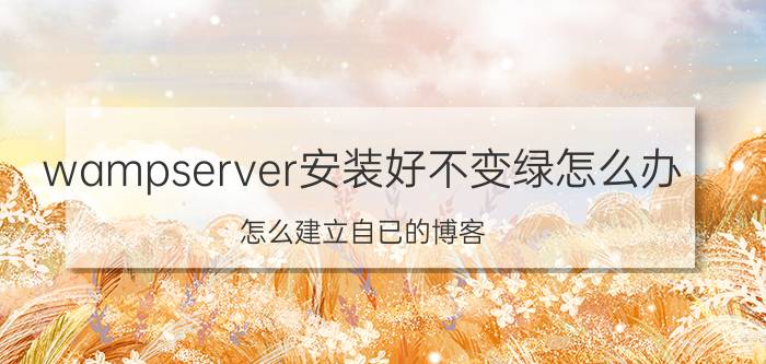 wampserver安装好不变绿怎么办 怎么建立自已的博客？